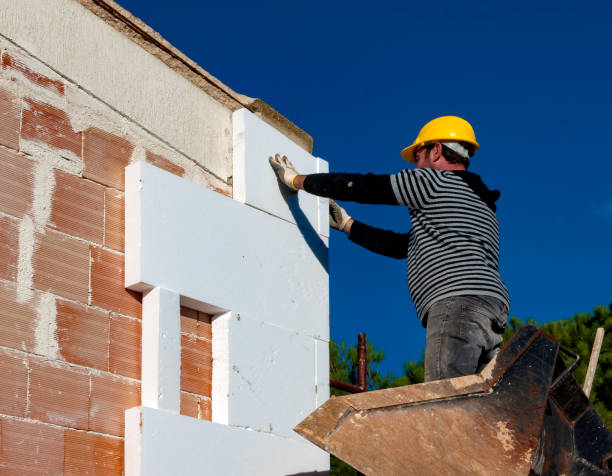 Best Insulation Contractors for Homes  in Mammoth Spring, AR