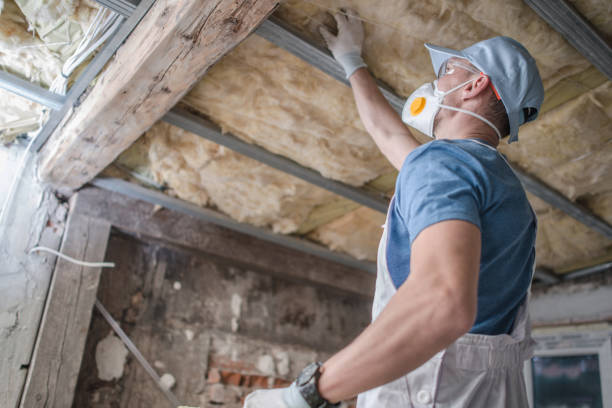 Best Garage Insulation Installation  in Mammoth Spring, AR