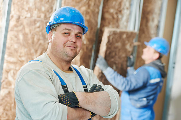 Best Home Insulation Services  in Mammoth Spring, AR