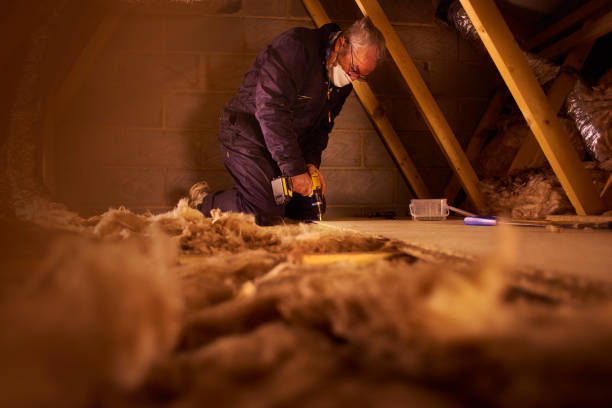 Best Insulation Contractor Near Me  in Mammoth Spring, AR